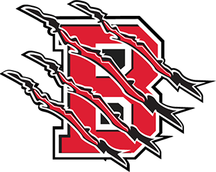 Brookland School District's Logo